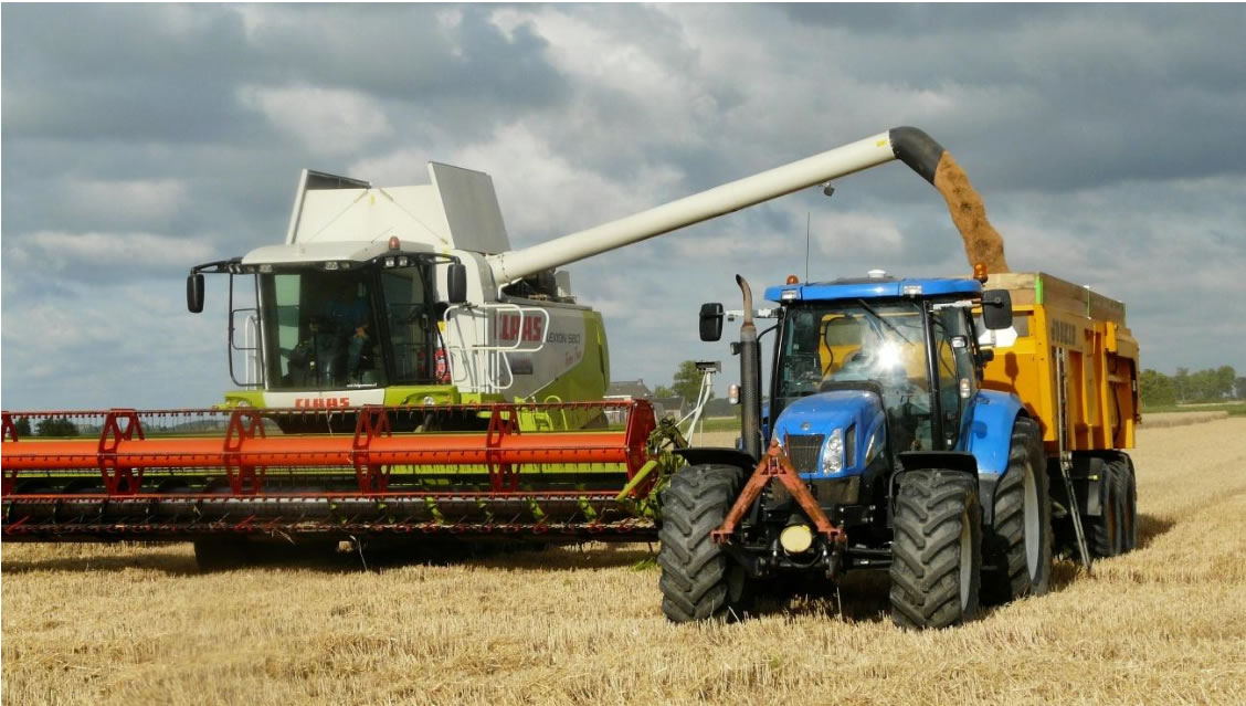 Agricultural and Industrial Farming